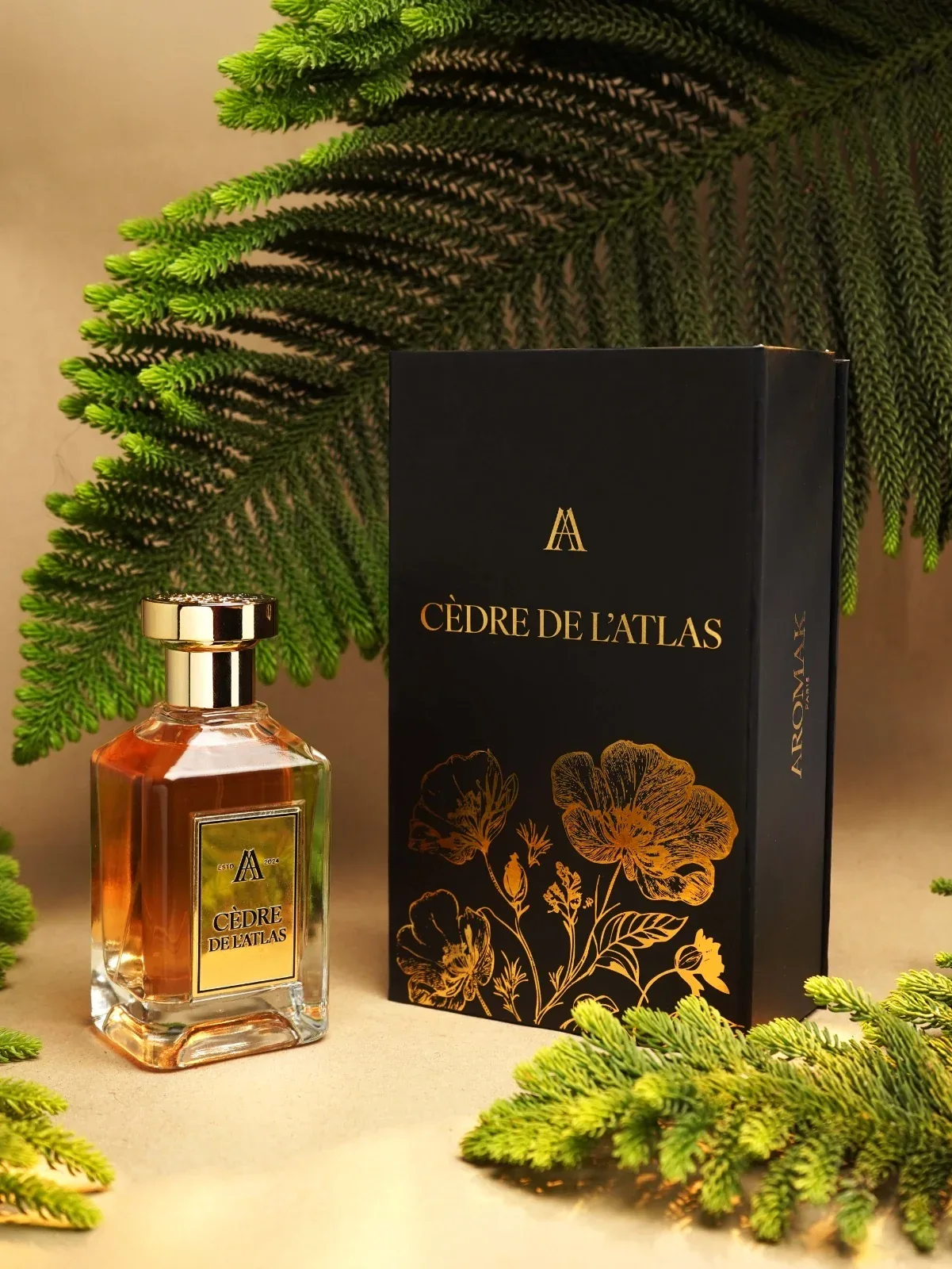 Cèdre de l'Atlas 3
