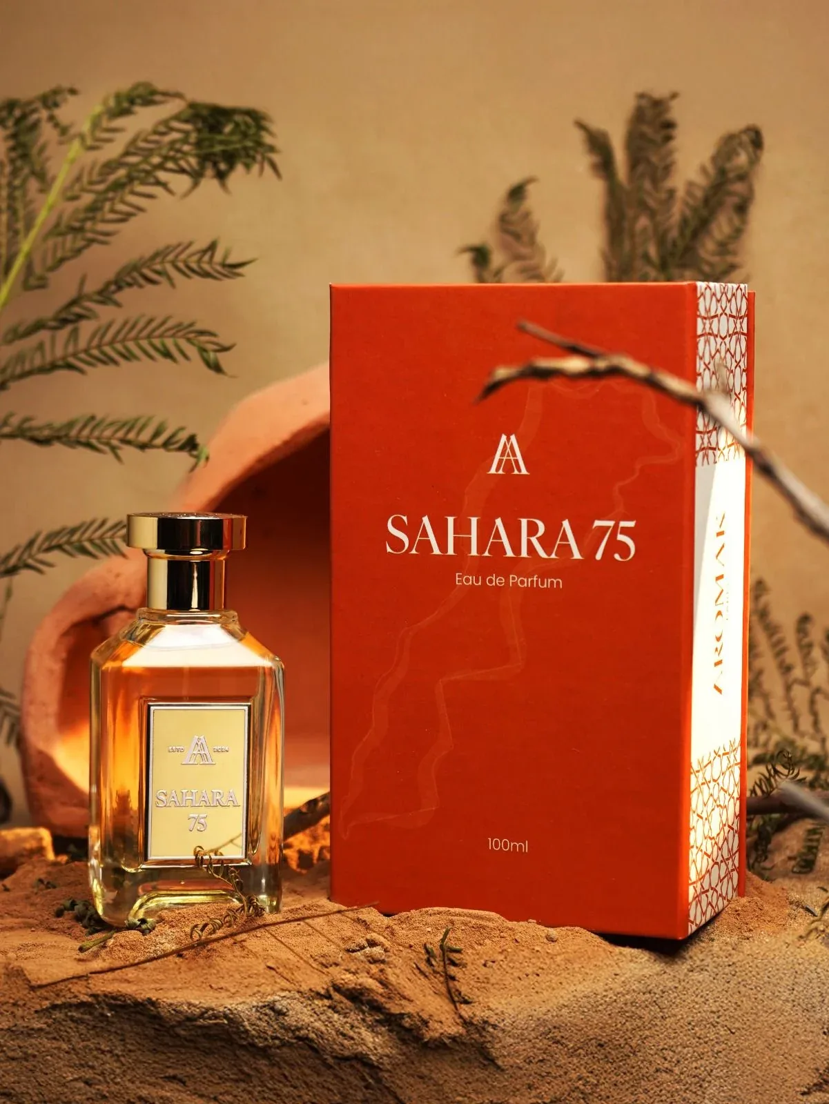 Sahara 3