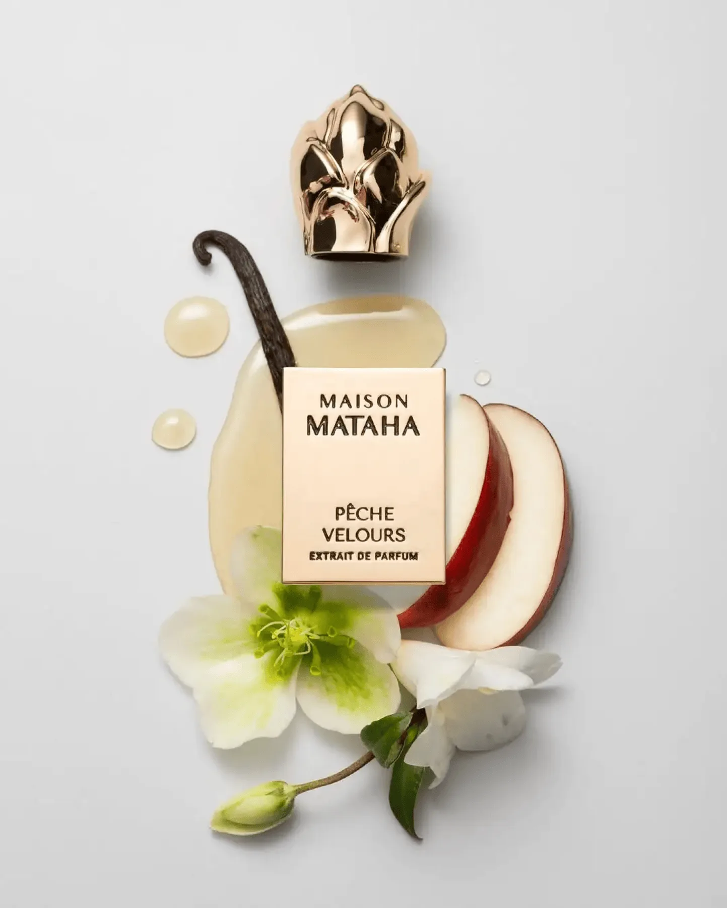 Maison Mataha - Pêche Velours 3